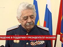 Донские казаки записали видеообращение в поддержку президента