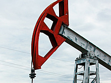 РФ подтвердила интерес к участию в консультациях со странами ОПЕК