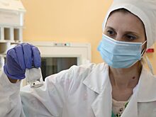 Более 5 тысяч нижегородцев покусали клещи с начала сезона