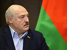 Белоусов обсуждает с Лукашенко вопросы сотрудничества во время визита в Белоруссию