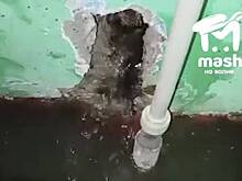 В российском городе у администрации появился фекальный потоп