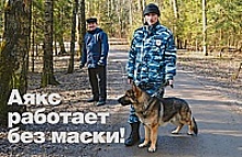 В парковой зоне Зеленограда возобновлено патрулирование территории кинологом с собакой