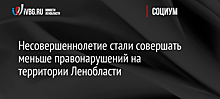 Несовершеннолетие стали совершать меньше правонарушений на территории Ленобласти