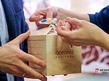 Владимир Якушев исполнил новогодние мечты детей из ЛНР и Подмосковья