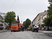 В центре Пензы высадят около 70 новых взрослых лип