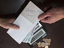 Приморцам предлагают ответить на вопросы о «серой» занятости