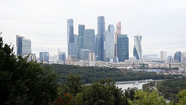 Партнер "Стрелки" объяснила стоимость деревьев в центре Москвы