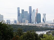 Партнер "Стрелки" объяснила стоимость деревьев в центре Москвы