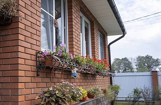 Дачников призвали сложить картофельные очистки и хранить до весны