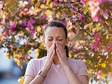 Исследователи узнали, когда аллергия может защитить от рака легких