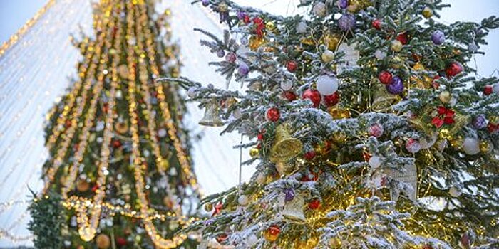 В Подмосковье могут снять часть ограничений до Нового года