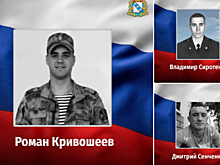 В ходе проведения специальной военной операции погибли трое курян