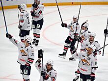 Три очка Гребенкина помогли «Металлургу» обыграть дома «Адмирал»