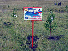 В Кумертау и Салаире высадили деревья в честь свердловских моногородов