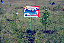 В Кумертау и Салаире высадили деревья в честь свердловских моногородов