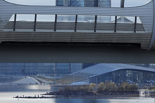 Новую развязку с ЗСД в Петербурге построят за 2,3 млрд рублей