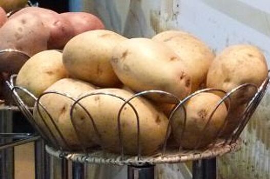 В Нижегородской области увеличилось производство картофеля и овощей