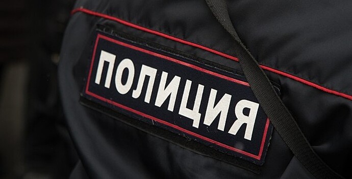 Студента США обвинили в нападении на силовика в Москве