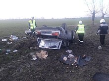В Крымском районе водитель врезавшейся в дерево легковушки скончался на месте ДТП