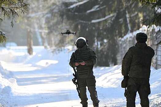 Минобороны: войска РФ освободили Зеленое в Харьковской области и Сухецкое в ДНР