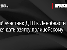 Пьяный участник ДТП в Ленобласти пытался дать взятку полицейскому