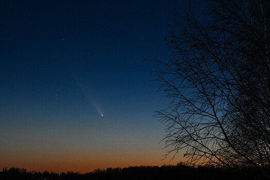 Земле угрожает «астероид-убийца»: ученые оценивают риски