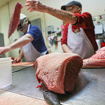 Американцы хотят запретить мясо, а козы говорят по скайпу