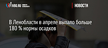 В Ленобласти в апреле выпало больше 180 % нормы осадков