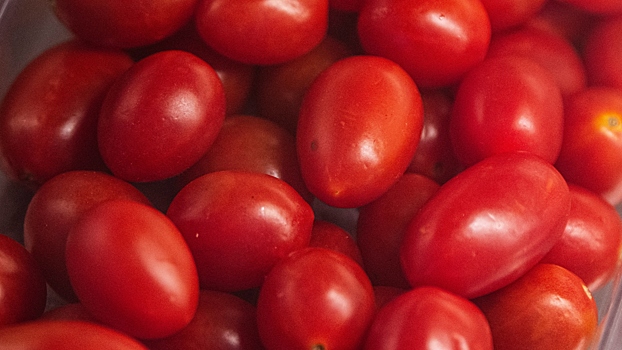 Мнение врача: помидоры помогают в профилактике рака