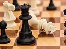 Подмосковный гроссмейстер стал чемпионом мира по шашкам