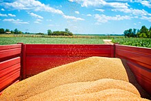 Правительство Казахстана разрабатывает меры по предотвращению контрабанды российского зерна