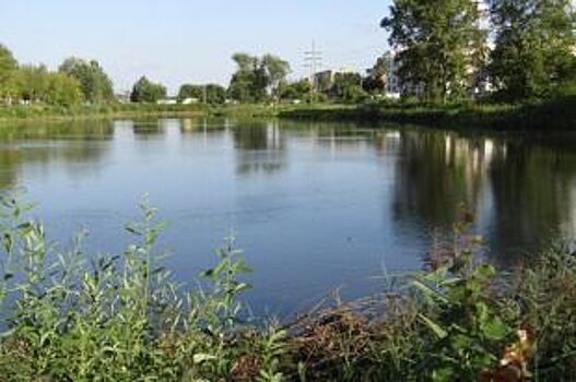 В Курской области в реке Свапа утонул 14-летний ребенок