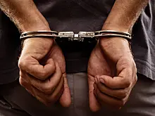 Бывшего советника президента Украины задержали в Подмосковье