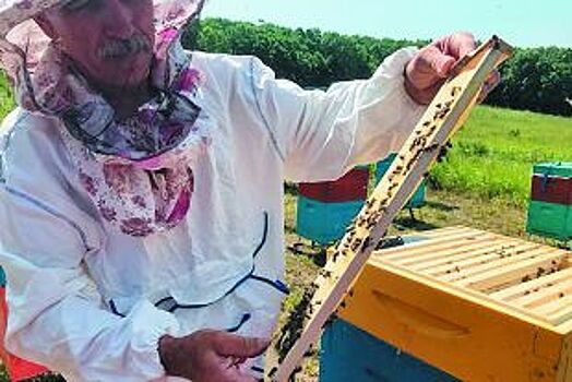 Зачем малому бизнесу экспорт?