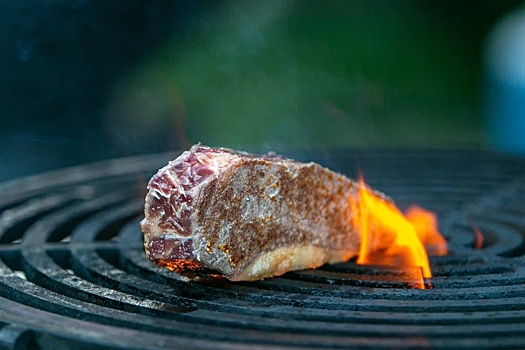 В Москве пройдет крупнейший фестиваль барбекю Russian Grill Fest 2025