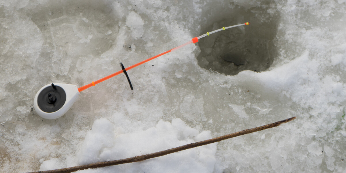 Рыбаки спасли и забрали на зимовку бросившуюся им под ноги ондатру