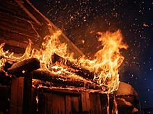 Два человека погибли за сутки на пожарах в Удмуртии