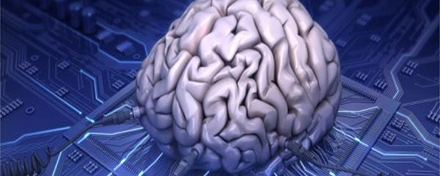 В США представили концепцию биологического компьютера на основе органоидов