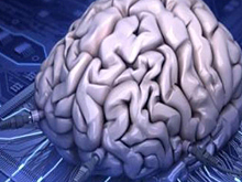 В США представили концепцию биологического компьютера на основе органоидов