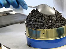 Почему в Советском Союзе черная икра была дешевой