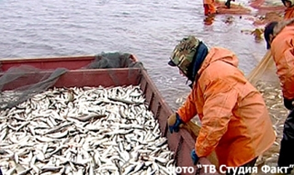 Тазовские рыбаки готовятся к летней путине