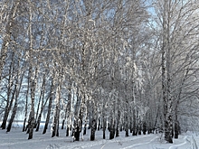 Жителей Омской области предупредили о громких хлопках