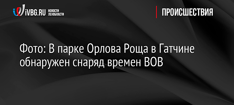 Фото: В парке Орлова Роща в Гатчине обнаружен снаряд времен ВОВ