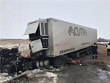 В Самарской области столкнулись два грузовика, пострадал один из водителей