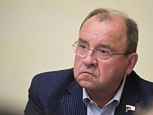 В Госдуме оценили возможную передачу российских активов Украине