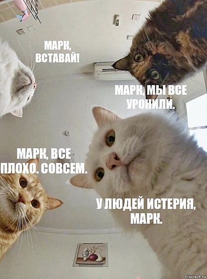 Вечером 4 октября по московскому времени произошел крупнейший с 2008 года сбой Facebook.