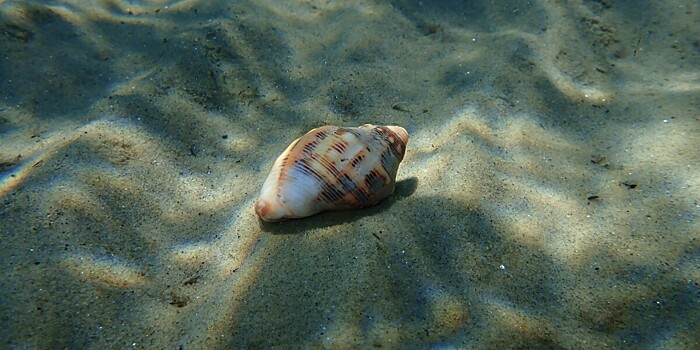 В Атлантическом океане пробурили самую глубокую в истории скважину