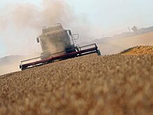 Турция пригрозила РФ ущербом на миллиард