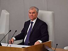 Володин уличил США в эгоизме ради сохранения однополярного мира