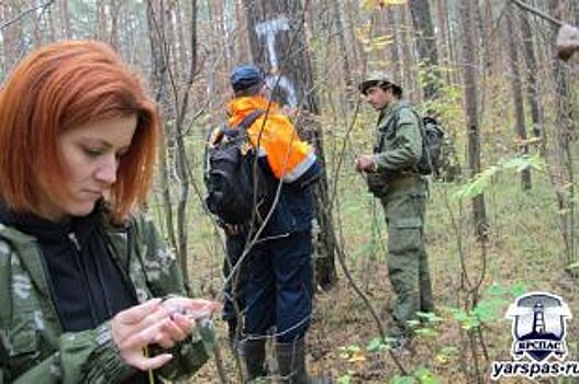 «Делать мир лучше». В Ярославской области ширится движение спасателей